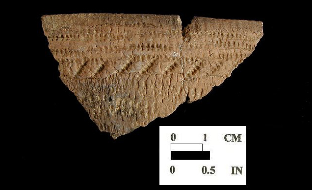 Shepard Rim sherd with cord-wrapped dowel impressed decoration from the Rosenstock site 18FR18/29.